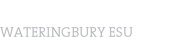 Wateringbury Explorer Scout Unit